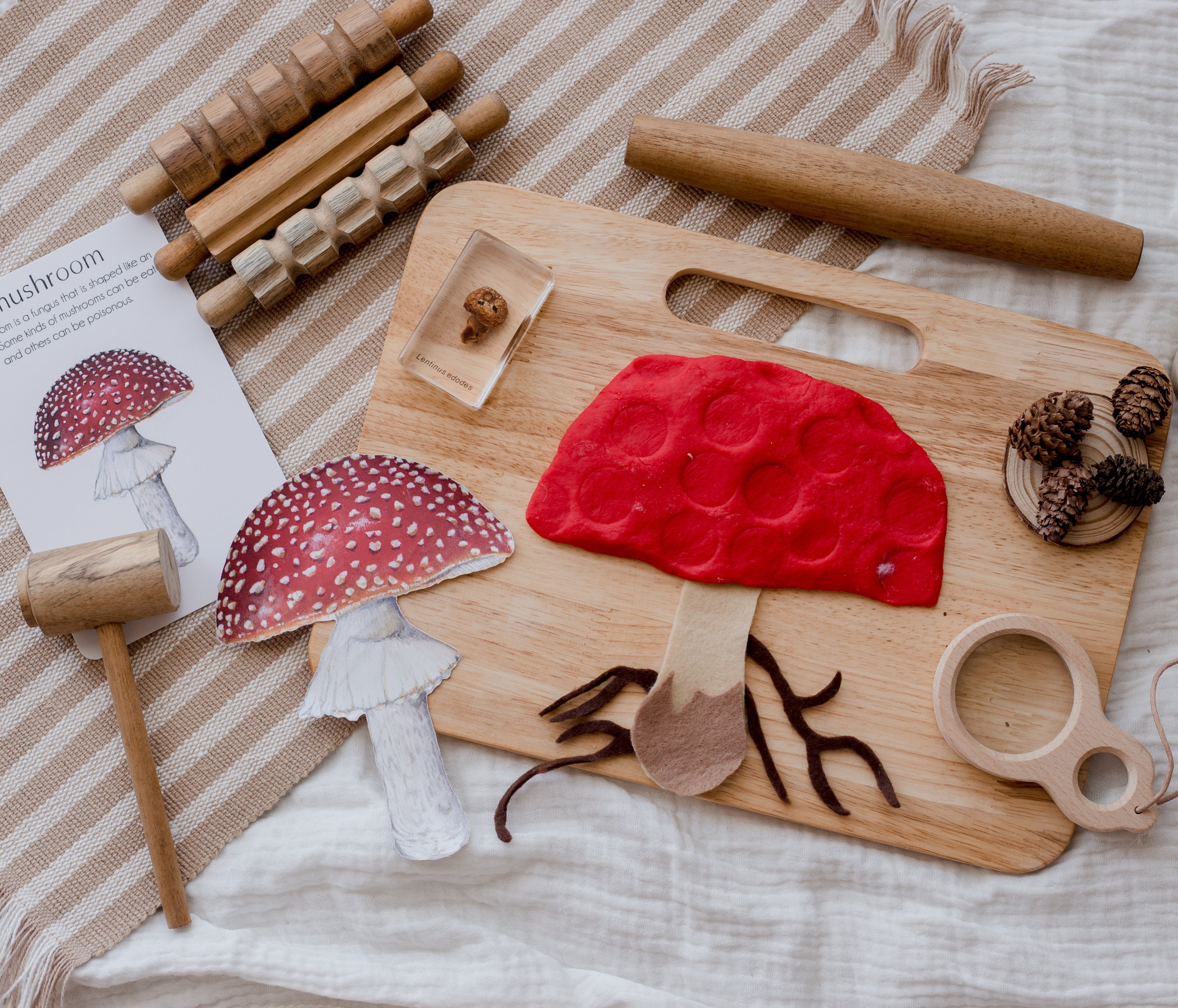 Wooden Tool set playdough