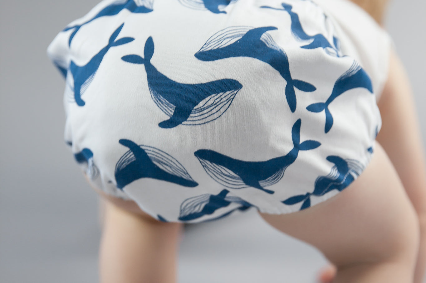 Whale print cotton bloomers baby