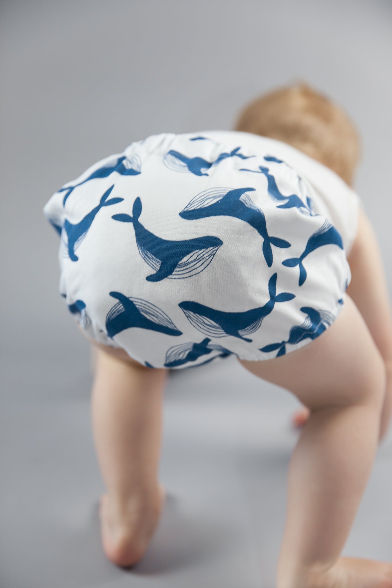Whale print cotton bloomers baby